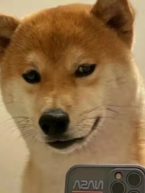 保留青春