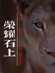 榮耀石上1跨時(shí)空的交匯