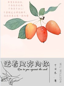 逆着风奔向你