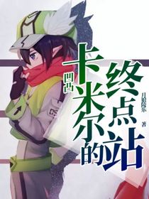 凹凸卡米尔的终点站