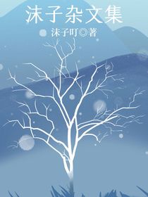 沫子杂文集