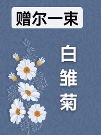 贈爾一束白雛菊