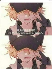 凹凸世界：最后的天使