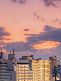 那个夏天的风