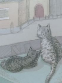 流浪的小猫
