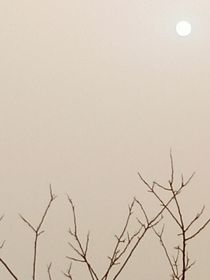 妄想与惩罚