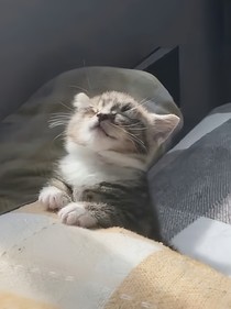 权倥
