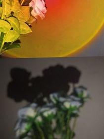 香消玉損l