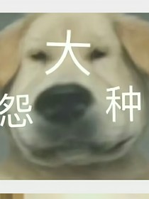 搞笑女攻略记