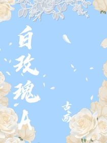 白玫瑰A