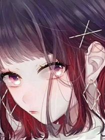 葉羅麗之穿越，我是王默