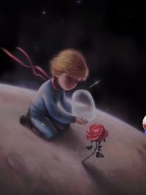 王俊凯：小王子与玫瑰