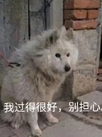 穿越：也在