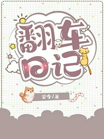 翻車日記
