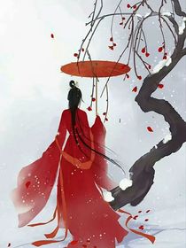 综影视：我本惊鸿