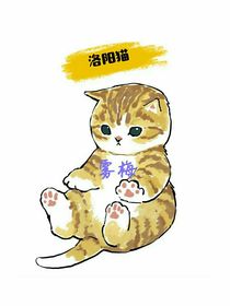 洛阳猫