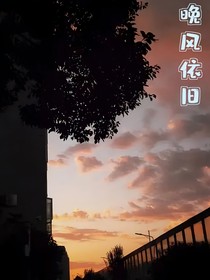 晚风依旧……