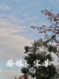 婚嫁：宋苏