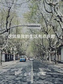 公交车的后角