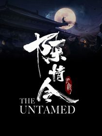 陈情令：夜弦记