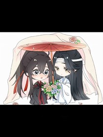 陈情之重生只为无羡
