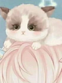 玖林和小猫