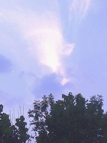 快穿之治治知之之