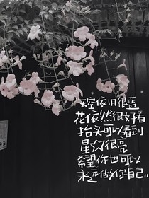 旅意浅浅