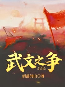 武文之争