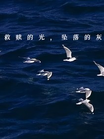 救赎的光，坠落的灰