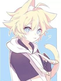一个小猫妖金