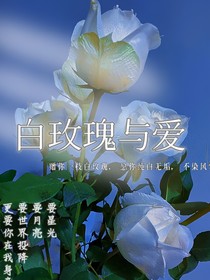白玫瑰与爱