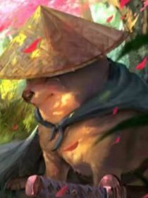 岳豪神算子