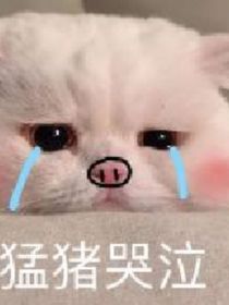 心动只是一瞬之间