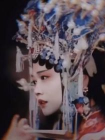 當歸——德云社……TFBOYS