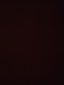 你的白月光是我的了