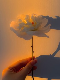 我的无可替代