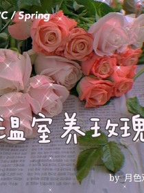 溫室養(yǎng)玫瑰