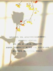 神仙文案语录-d393