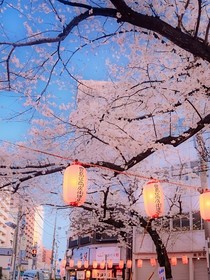 晴诗