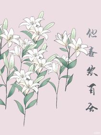 他喜欢百合