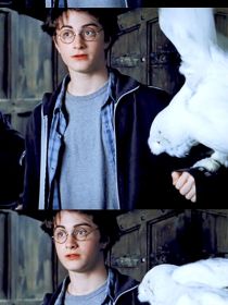 HP：拜托，修罗场真的超酷啊