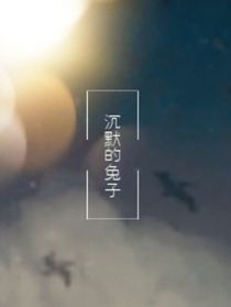 沉默的兔子