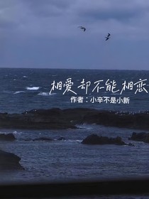 相愛卻不能相戀