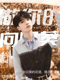 TNT：做你的向日葵