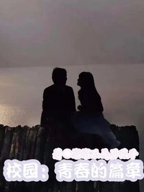 校园：青春的篇章