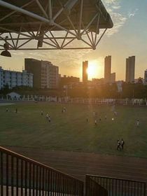 林梓微儿的日记-d422