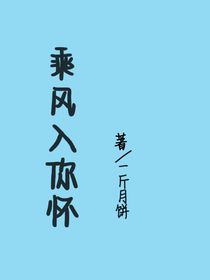 乘风入你怀