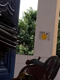 甄嬛传之穿越成夏冬春