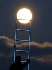 快穿大佬低调